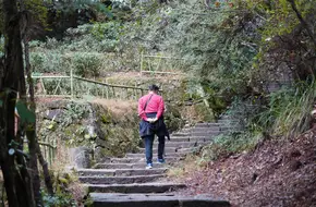 Flying Peak