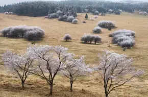 Xiannvshan National Forest Park-Horse Riding Ground