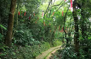 Jin Guang Lake