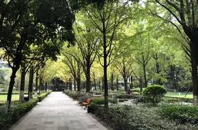 Shengguopingwei Commercial Pedestrian Street