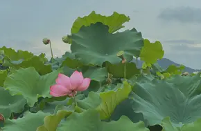 Xiang Lake Phase III