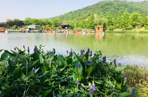 Xianghu Tourist Resort Shiyanshan Ship Dock