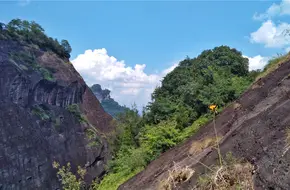 Tiger Roaring Rock