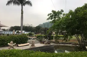Huihe Academy