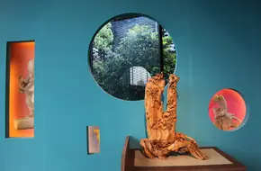 China Academy Of Art（Xiangshan Center Campus）