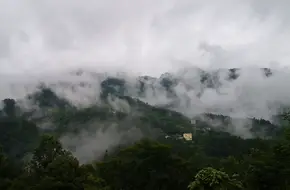 Guangdong Po Forest Park