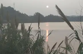 Fudan Post Station Tea Picking Base