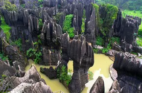 Wansheng Stone Forest Scenic Area