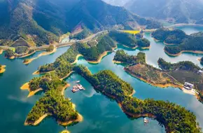 Osmanthus Island (Monkey Island)
