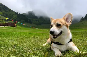 Jinfoshan North Slope Scenic Area