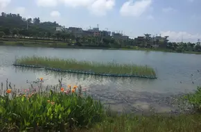 Dongshan Water System Park