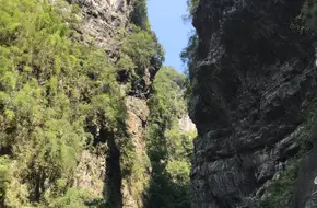 Rainbow Ladder