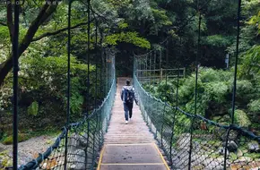 Carp River
