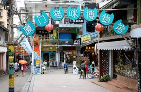 Xiamen Cat Museum
