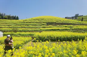 Hangzhou Fuyang District Xindeng Town Cunling Family Farm