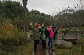 Beibei Golden Fruit Ecological Zone