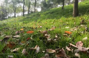 Peach Blossom Mountain Park