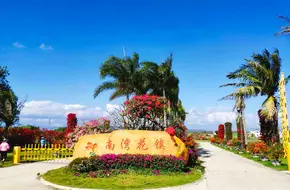 South Bay Flower Town