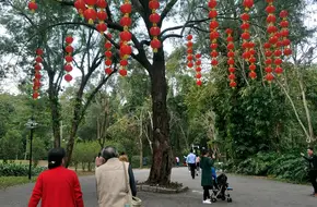 Lianhua Mountain