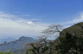 Jinfoshan West Slope