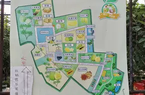 Rongjie Taiwan Fruit Sightseeing Garden