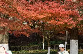Jiande Riverside Park