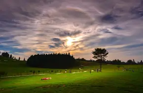 Qishan Grassland