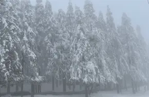 Xiannvshan Prairie