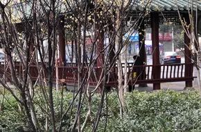 Gezhouba Dam Park