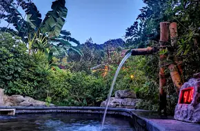 Jinfoshan Tianxing International Hot Spring Resort