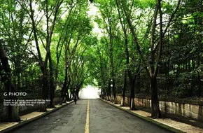 Southwest University Of Political Science And Law （South Gate）