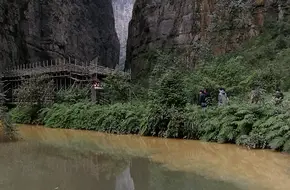 Carp Leaping Over The Dragon Gate