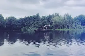 Dragon Boat Festival