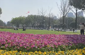 Chongqing Central Park-Tree-Lined Avenue