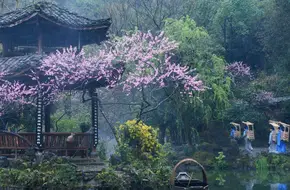 Youyang Taohuayuan