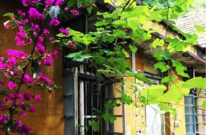 Yu Tai Shan Park