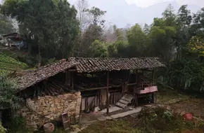 Zhuzi Creek