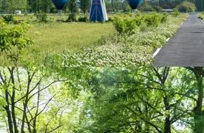Lingshan Fengqing Town