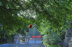 Xiaoping Forest Park Of Xiamen