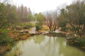 Yue Di