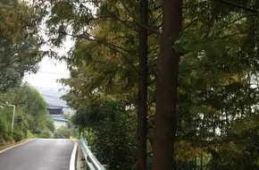 Lianshun Villa