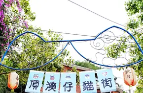 Ding'Aozai Cat Street