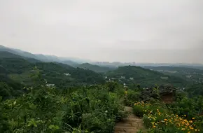 Tiger Peak Scenic Area