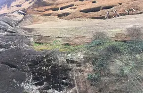 Nine Dragons Nest