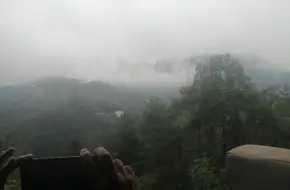 Guangdong Po Forest Park