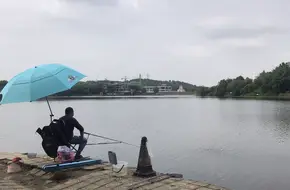 Lotus Lake Outdoor Experience Base