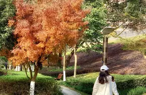 Jiande Riverside Park