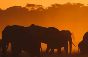 Hangzhou Zoo & Wildlife World - African Savanna