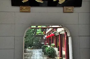 Buddhist College Of Minnan