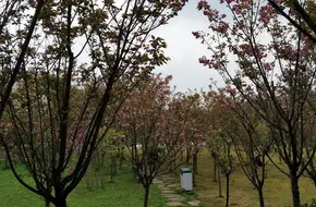Yubei Commercial Pedestrian Street